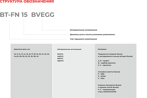 Торцевое уплотнение BT-FN 40 QQVGG в Красноярске фото